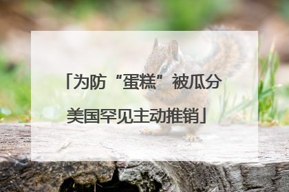 为防“蛋糕”被瓜分 美国罕见主动推销