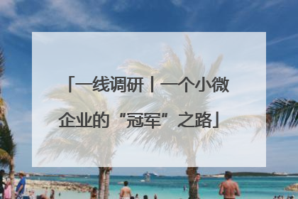 一线调研丨一个小微企业的“冠军”之路