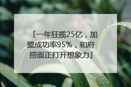 一年狂揽25亿，加盟成功率95%，和府捞面正打开想象力