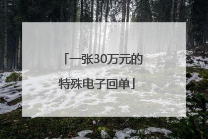 一张30万元的特殊电子回单