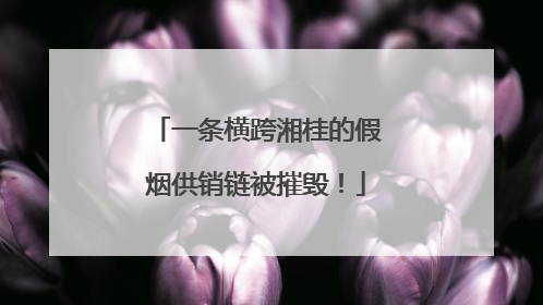 一条横跨湘桂的假烟供销链被摧毁！