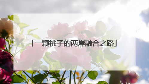 一颗桃子的两岸融合之路