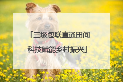 三级包联直通田间 科技赋能乡村振兴