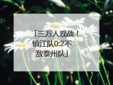 三万人观战！镇江队0:2不敌泰州队