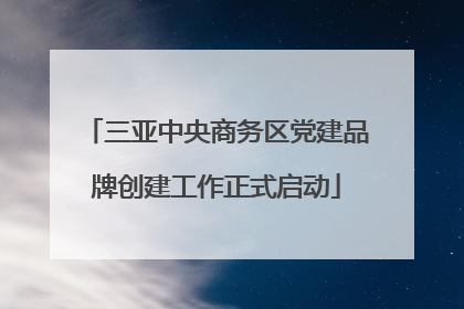 三亚中央商务区党建品牌创建工作正式启动
