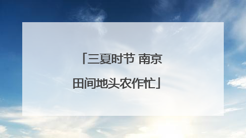三夏时节 南京田间地头农作忙
