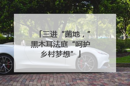 三进“菌地，”黑木耳法庭“呵护乡村梦想”