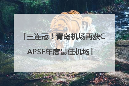 三连冠！青岛机场再获CAPSE年度最佳机场