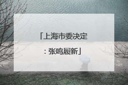 上海市委决定：张鸣履新
