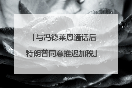 与冯德莱恩通话后 特朗普同意推迟加税