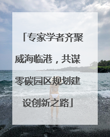 专家学者齐聚威海临港，共谋零碳园区规划建设创新之路