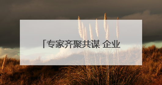 专家齐聚共谋 企业点赞助力 郑州航空港跨境电商发展引热议