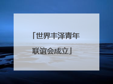 世界丰泽青年联谊会成立
