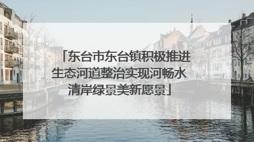 东台市东台镇积极推进生态河道整治实现河畅水清岸绿景美新愿景