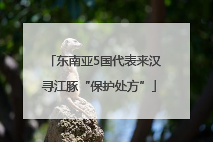 东南亚5国代表来汉寻江豚“保护处方”