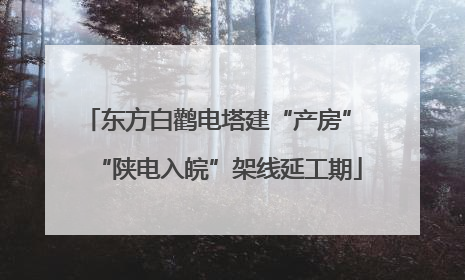 东方白鹳电塔建“产房” “陕电入皖”架线延工期