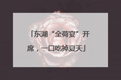 东湖“全荷宴”开席，一口吃掉夏天