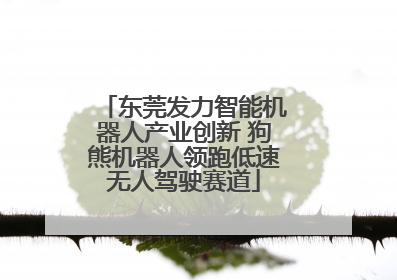 东莞发力智能机器人产业创新 狗熊机器人领跑低速无人驾驶赛道