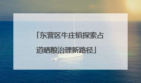 东营区牛庄镇探索占道晒粮治理新路径