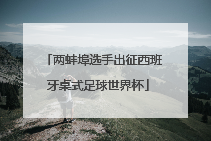 两蚌埠选手出征西班牙桌式足球世界杯