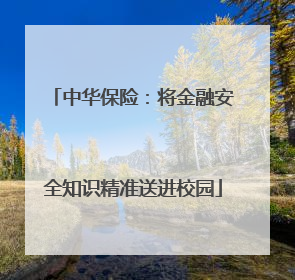 中华保险：将金融安全知识精准送进校园
