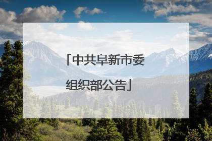 中共阜新市委组织部公告