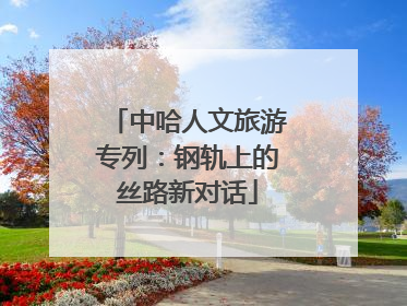 中哈人文旅游专列：钢轨上的丝路新对话