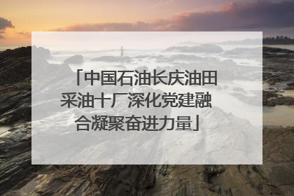 中国石油长庆油田采油十厂深化党建融合凝聚奋进力量