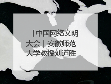 中国网络文明大会｜安徽师范大学教授刘道胜：“E”览徽风，构筑中华民族共有精神家园