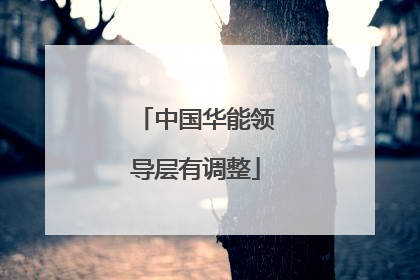 中国华能领导层有调整