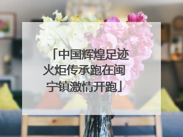 中国辉煌足迹火炬传承跑在闽宁镇激情开跑