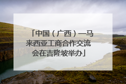 中国（广西）—马来西亚工商合作交流会在吉隆坡举办