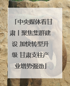 中央媒体看甘肃丨聚焦集群建设 加快转型升级 甘肃支柱产业增势强劲