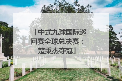中式九球国际巡回赛全球总决赛：楚秉杰夺冠
