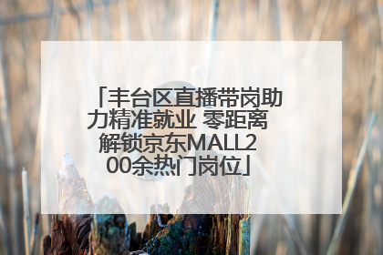 丰台区直播带岗助力精准就业 零距离解锁京东MALL200余热门岗位