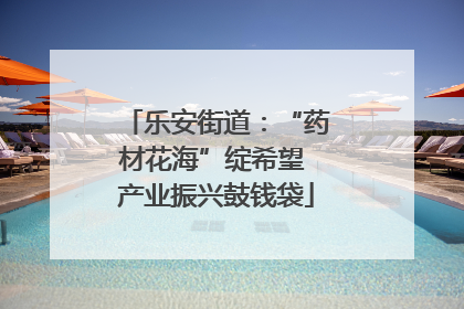 乐安街道：“药材花海”绽希望 产业振兴鼓钱袋