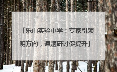 乐山实验中学：专家引领明方向，课题研讨促提升