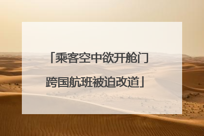 乘客空中欲开舱门 跨国航班被迫改道