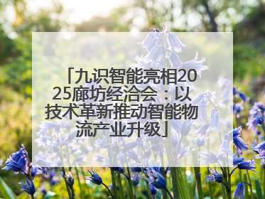 九识智能亮相2025廊坊经洽会：以技术革新推动智能物流产业升级