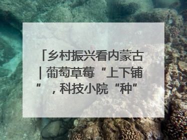乡村振兴看内蒙古｜葡萄草莓“上下铺”，科技小院“种”出三倍效益