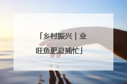 乡村振兴｜业旺鱼肥夏捕忙