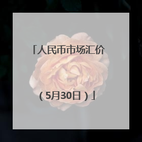 人民币市场汇价（5月30日）