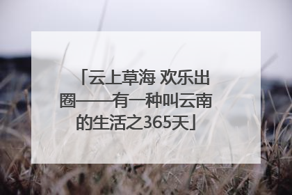 云上草海 欢乐出圈——有一种叫云南的生活之365天