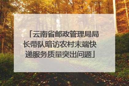 云南省邮政管理局局长带队暗访农村末端快递服务质量突出问题