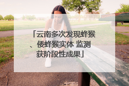 云南多次发现蜂猴、倭蜂猴实体 监测获阶段性成果
