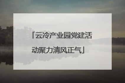 云冷产业园党建活动聚力清风正气
