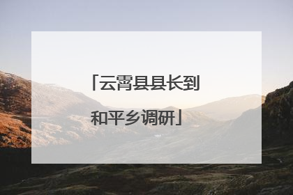 云霄县县长到和平乡调研
