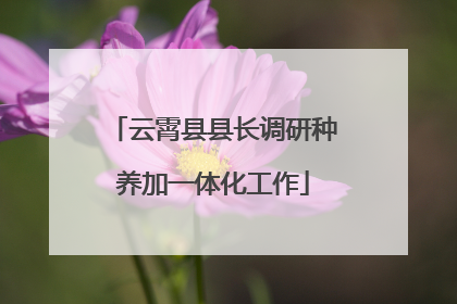 云霄县县长调研种养加一体化工作