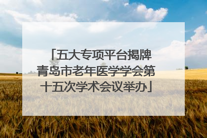 五大专项平台揭牌 青岛市老年医学学会第十五次学术会议举办