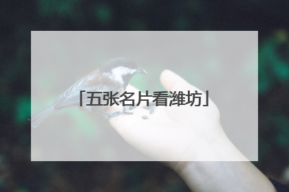 五张名片看潍坊